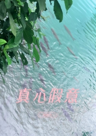 真心 假意